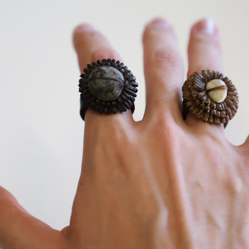 Meteor ring